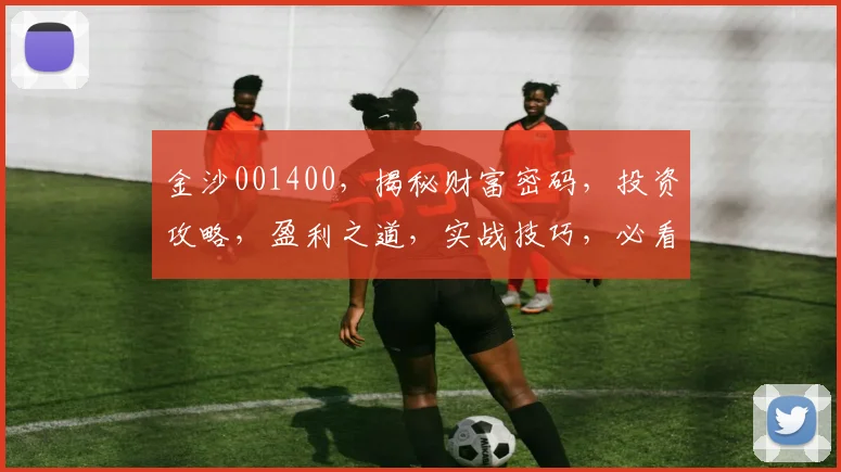 金沙001400，揭秘财富密码，投资攻略，盈利之道，实战技巧，必看攻略