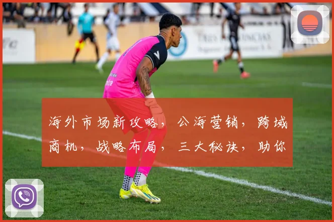 海外市场新攻略，公海营销，跨域商机，战略布局，三大秘诀，助你乘风破浪