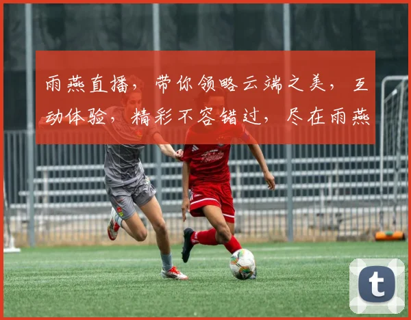 雨燕直播，带你领略云端之美，互动体验，精彩不容错过，尽在雨燕直播，快来一探究竟