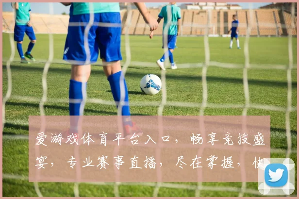 爱游戏体育平台入口，畅享竞技盛宴，专业赛事直播，尽在掌握，快速登录体验